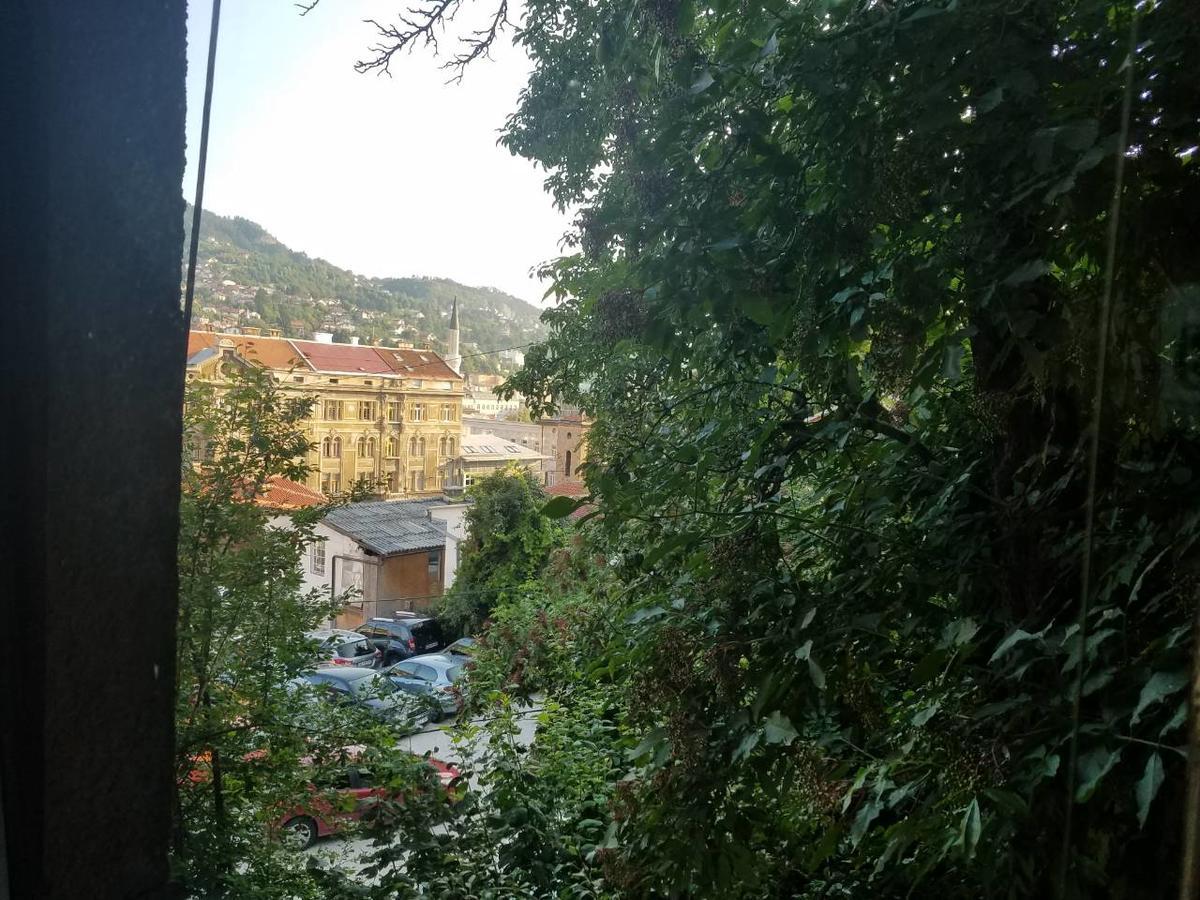 Curovac View Hotel SJJ Exterior foto